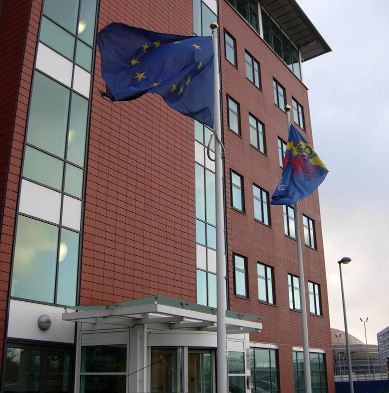 Representation of the European IMF in Wales